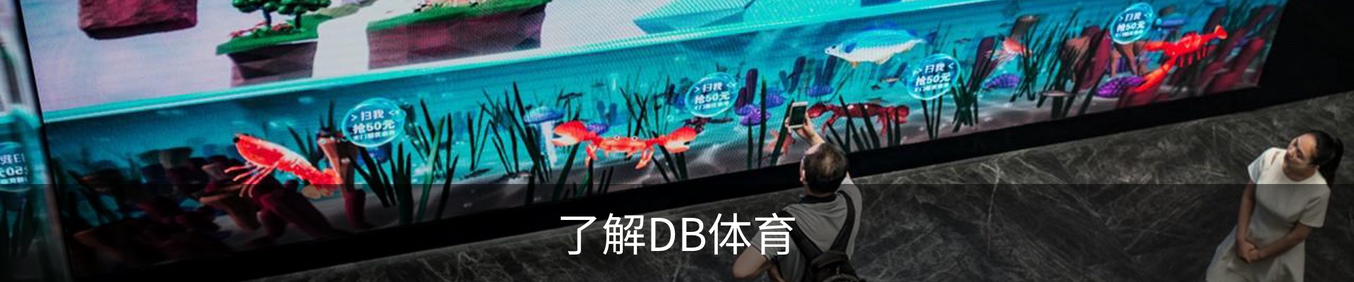 了解DB体育
